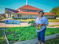 MPS, NorthSide Regeneration Provide Land to North St. Louis City Food Pantry for Community Garden